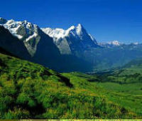 2025深度对话：走近91大事件线路，1991发生大事