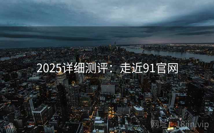 2025详细测评：走近91官网