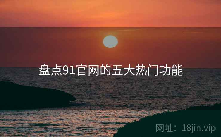 盘点91官网的五大热门功能