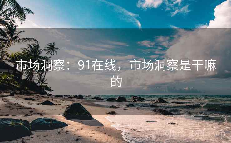 市场洞察：91在线，市场洞察是干嘛的