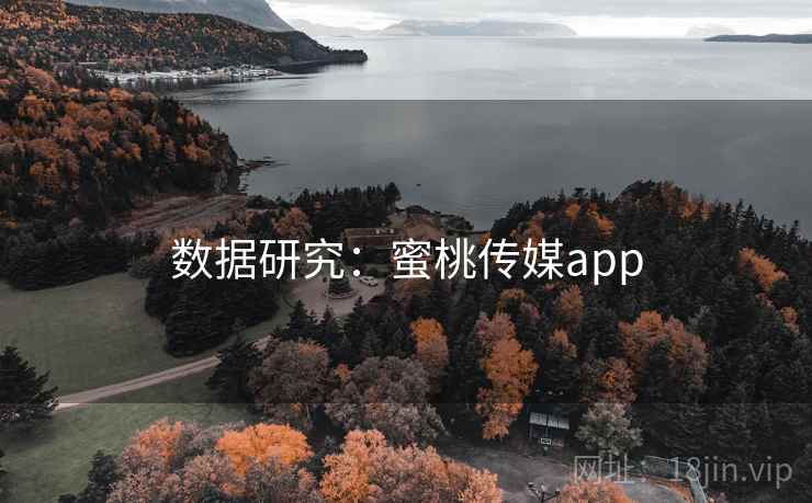 数据研究：蜜桃传媒app