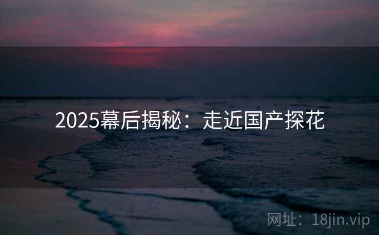 2025幕后揭秘：走近国产探花