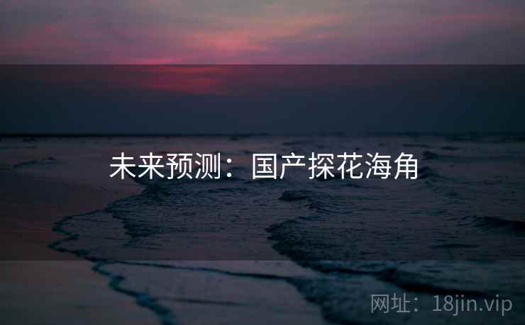 未来预测：国产探花海角