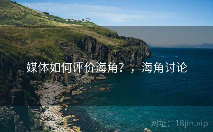 媒体如何评价海角？，海角讨论