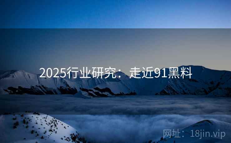 2025行业研究：走近91黑料
