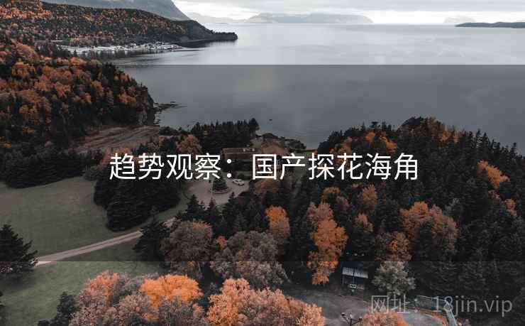 趋势观察：国产探花海角